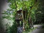 Casa sull'albero.....